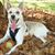 Vicki Neill Weaver's profile image
