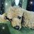 Jewel Brown's profile image