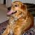Lina Maysonet's profile image