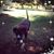 Sergio Armando Rubio Arras's profile image