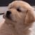 Christina Bassler's profile image