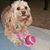 Rosie Young's profile image