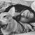 Andrea Ac's profile image