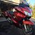 David Diringer's profile image