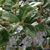Holly Ann Cooke Fitzpatrick's profile image