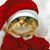 Peggy Reindl's profile image