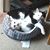 Jennifer Belanger Canfield's profile image
