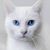 Phyllis Mary's profile image