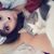 Monica Nichole's profile image