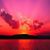 Lynda Cosgrove's profile image
