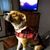Lynn Jen's profile image