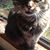 Madelyn Madelyn's profile image