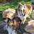 Nancy Millington's profile image