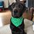 Mary Olson's profile image