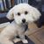Jorge Novoa's profile image