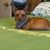Terry R Coggins's profile image