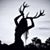 Laura Herron's profile image