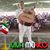 Hector Corona Gonzalez's profile image