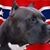 Scotty Stephen's profile image