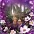 Rachel Lam's profile image