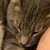 Sue Anderson's profile image