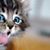 Robin Smith's profile image