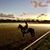 Michelle Fernandez Robles JD's profile image