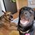 Natalie George-McComas's profile image
