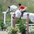 Sue Patterson's profile image