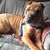 Lorna F. Swick's profile image