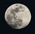 Joshua Tapia's profile image