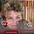 Denise M Smith's profile image