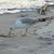Vonda Caldwell's profile image