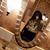 Tammy Stapleton's profile image