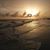 Pamela Cooner Korbecki's profile image