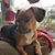 TheFamily Mangual's profile image