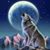 Vasquez Lito Carlos's profile image