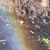 Roxanne Velebir's profile image