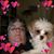 Tonya Winebrenner's profile image