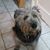 Randy F. Rogge's profile image