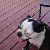 Ron Sams's profile image