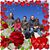 Dawn Rayner-Hetherington's profile image