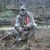 Frank Pintaro's profile image