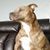 Kevin Stockman's profile image