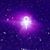 Lori Lammert-Arndt's profile image
