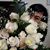 Juthawan Rai's profile image