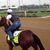 Jose Luis Alejo's profile image