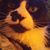 Tracy Reyes's profile image