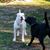 Sue Baldwin Steen's profile image