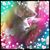 Janet Grace's profile image